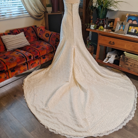 Pronovias Albeniz Tirso Wedding dress - Picture 7 of 15